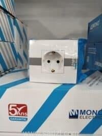 PRISE A TERRE MONO (10pcs)