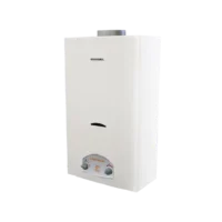 CHAUFFE EAU GAZ DE VILLE 10 L ENERGICAL